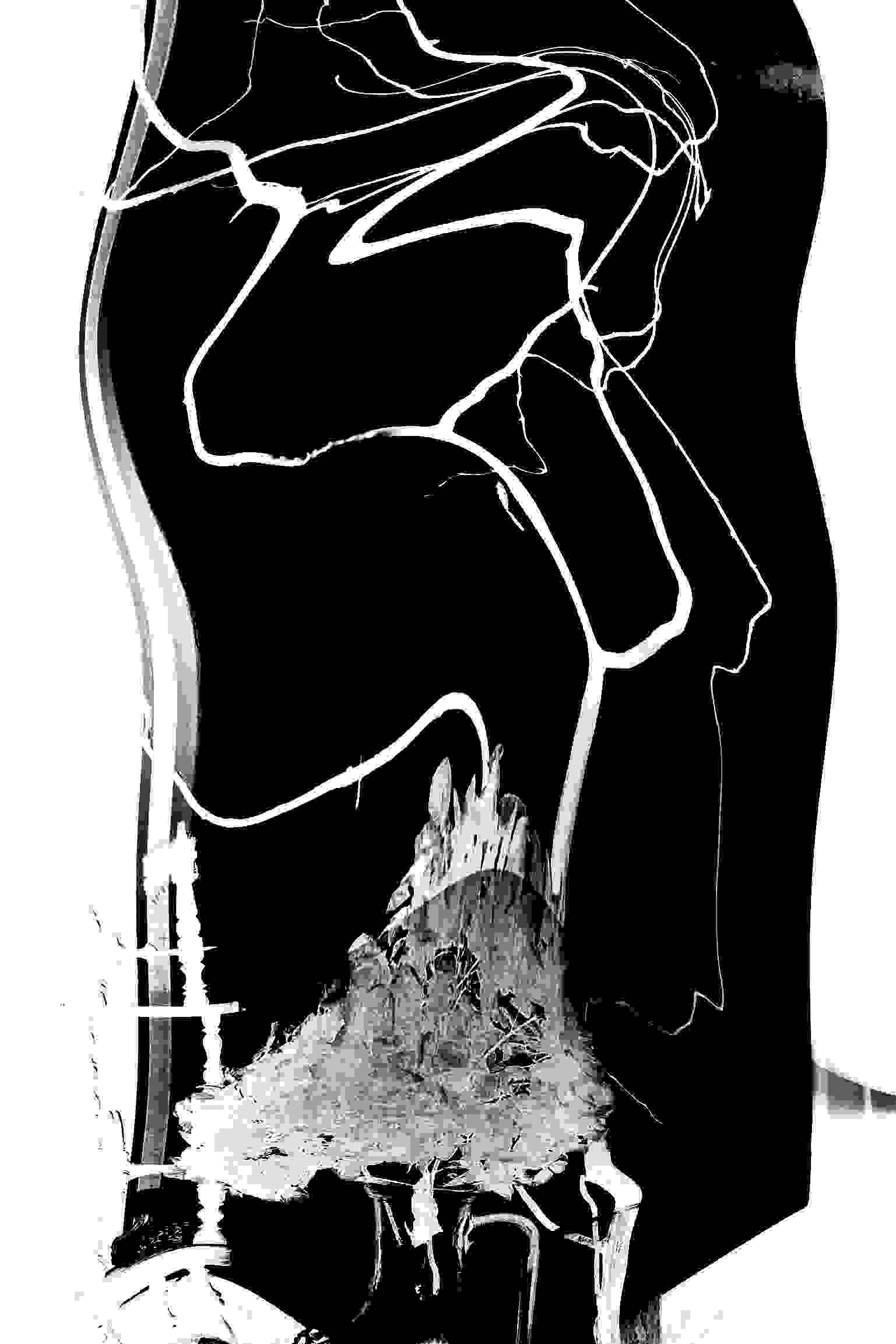 PD_3_File_001