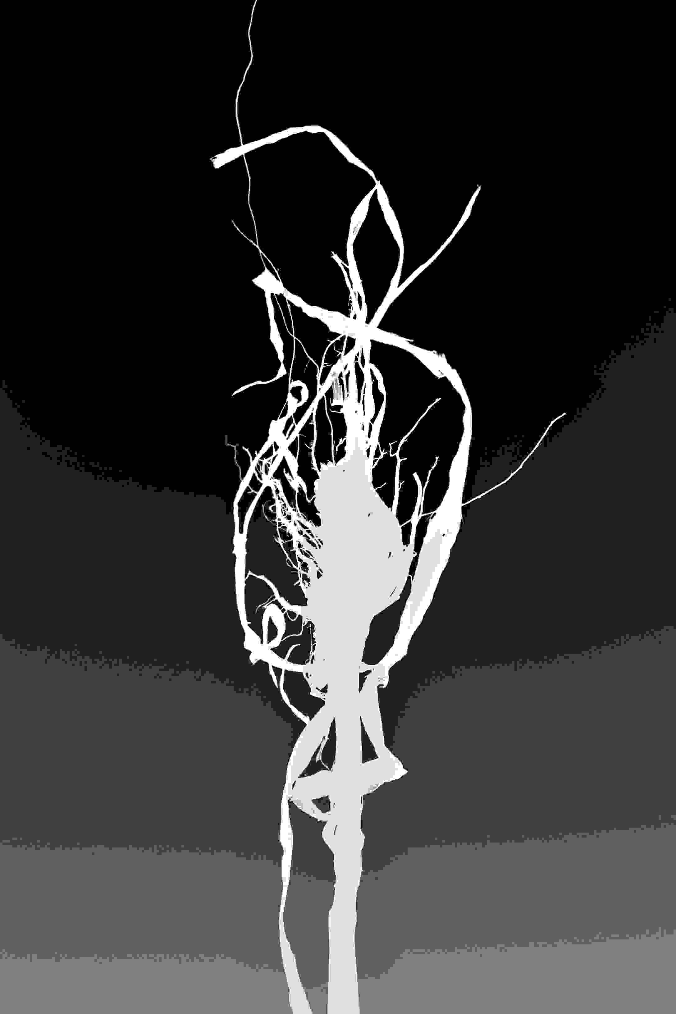 PD_3_File_002