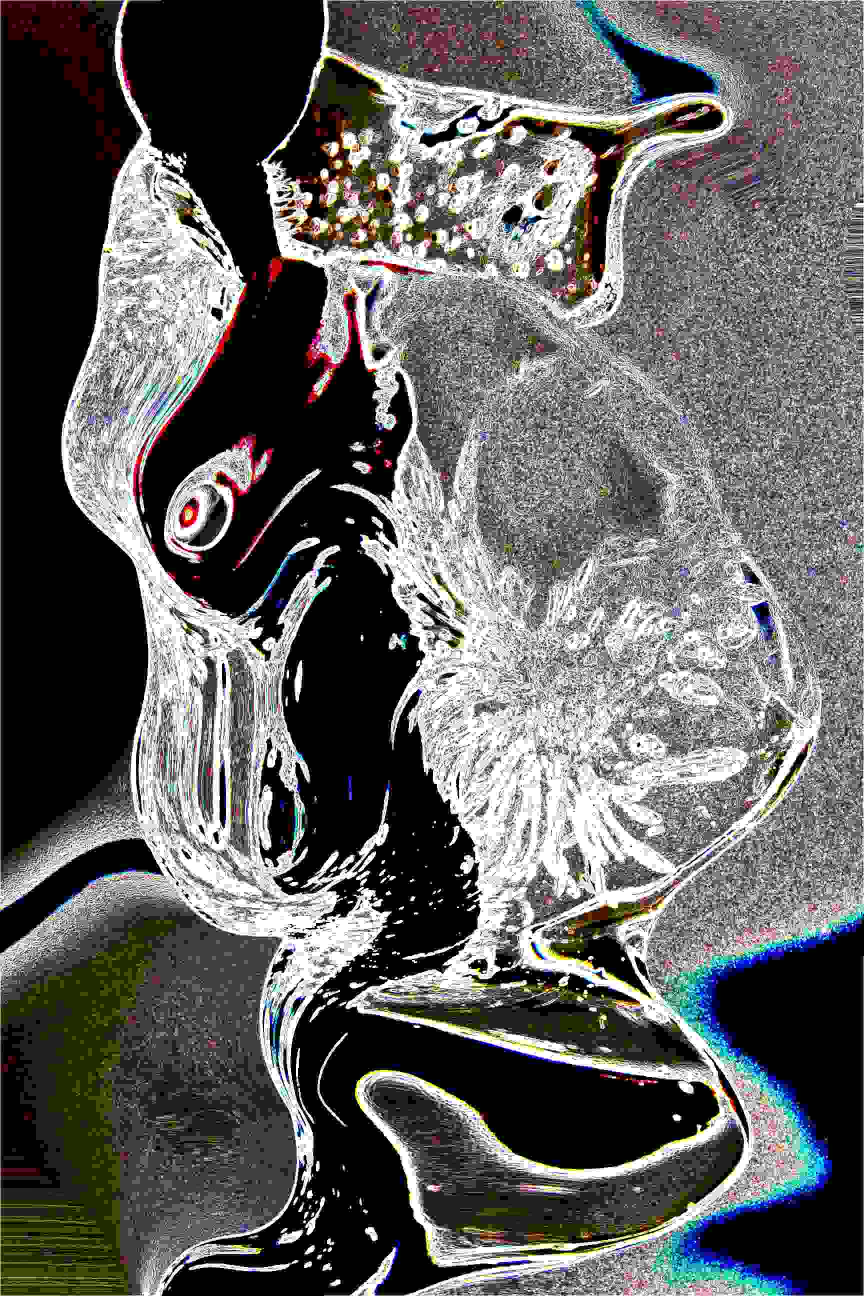PD_5_File_002