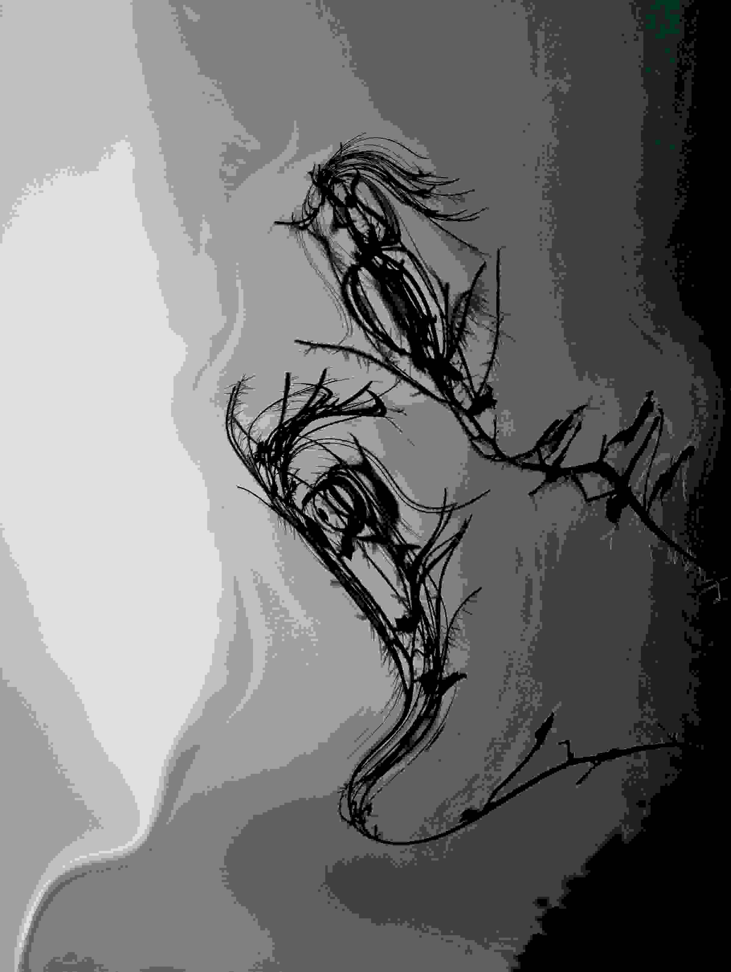 PD_5_File_004
