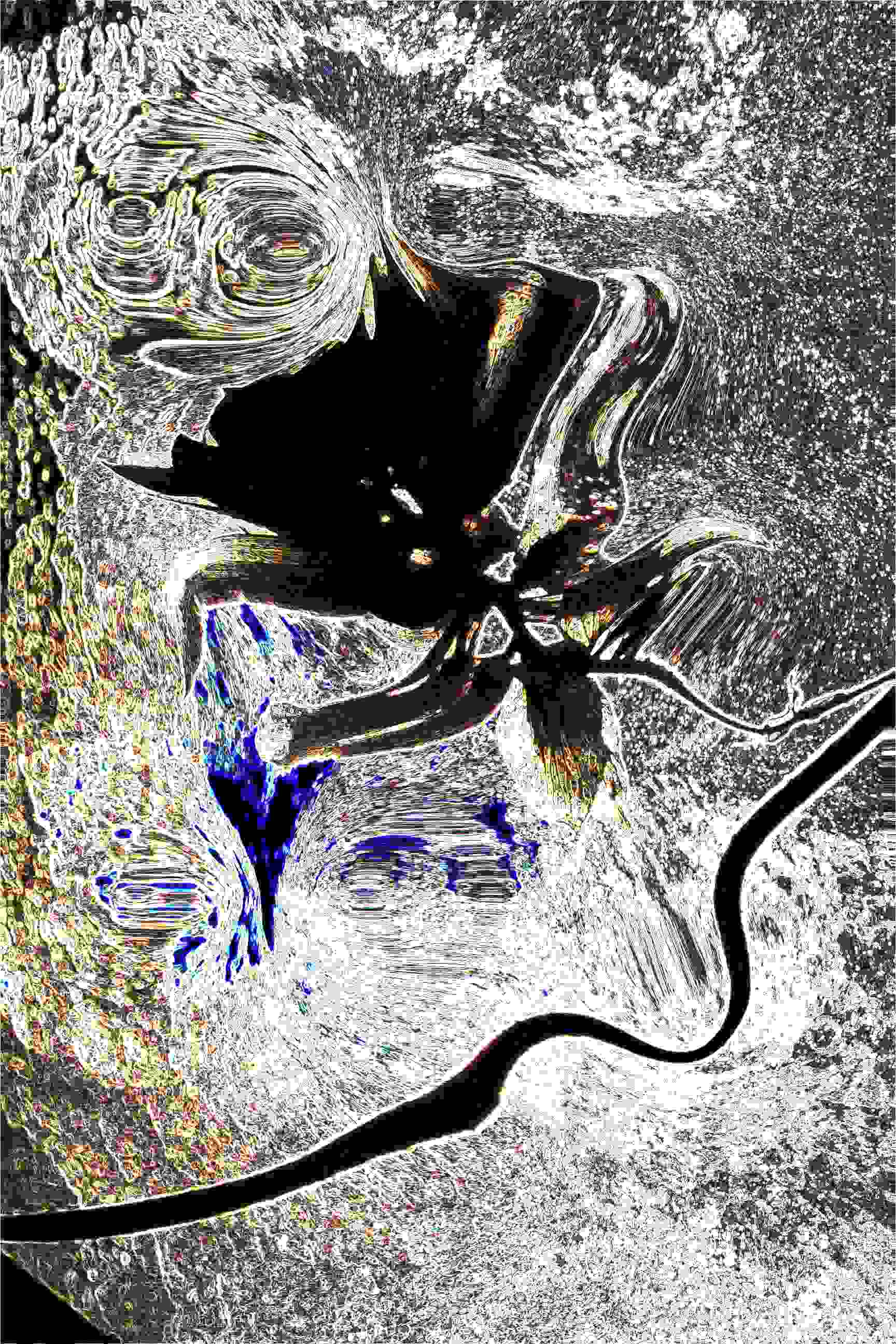 PD_6_File_001