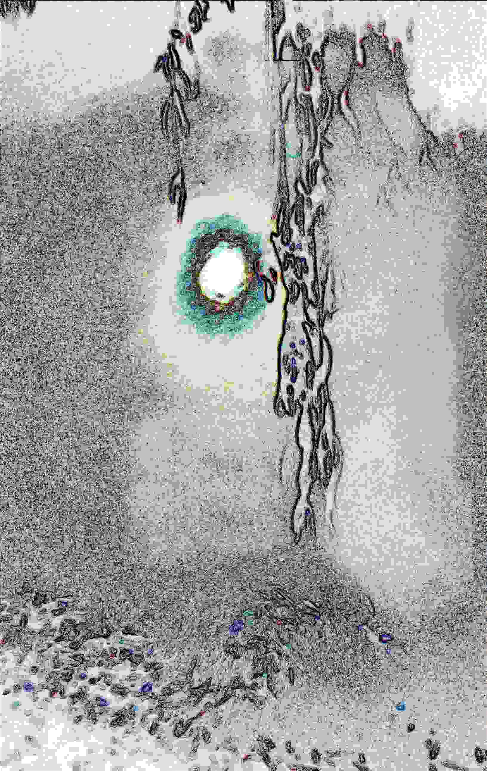 PD_7_File_002