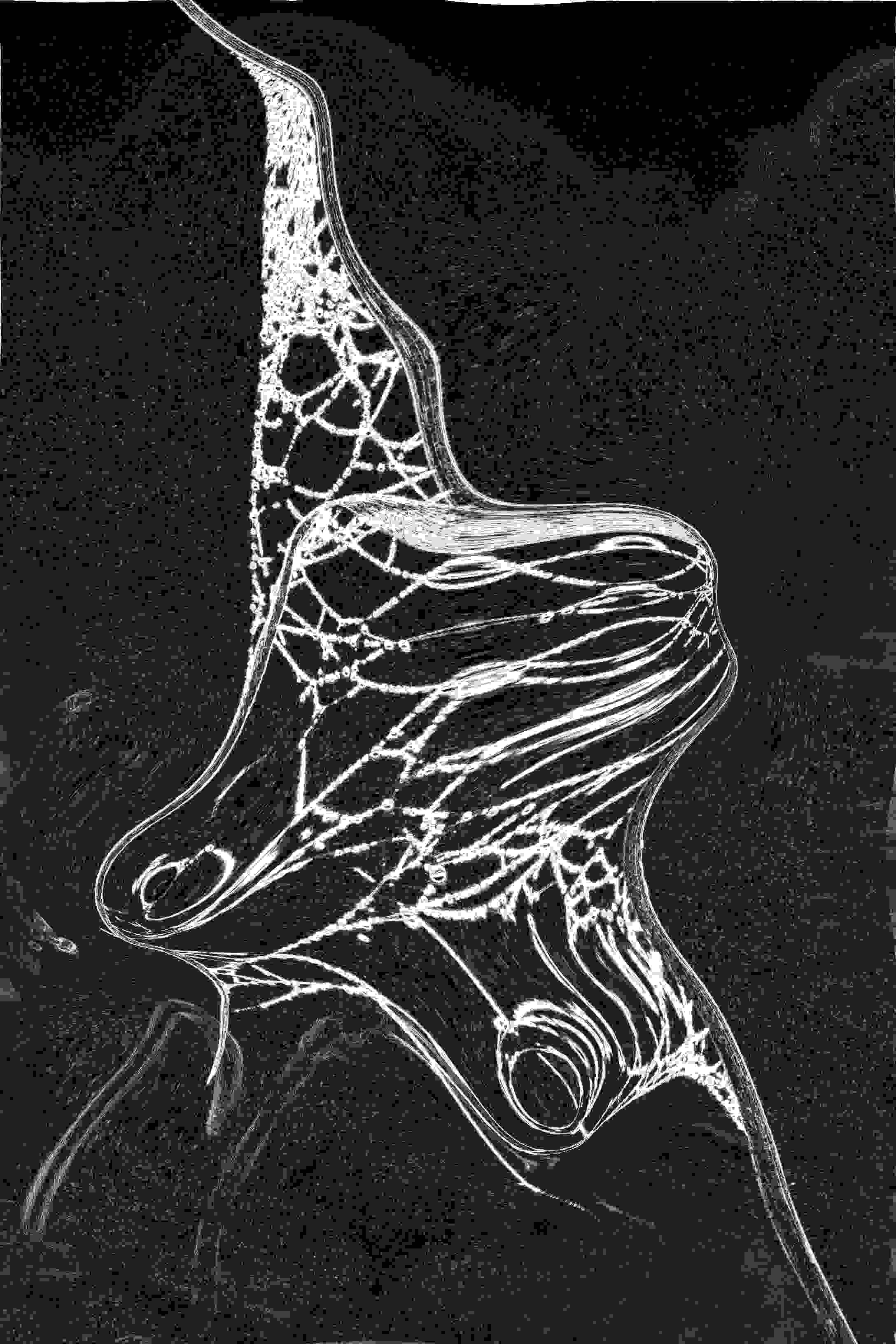 PD_10_File_002
