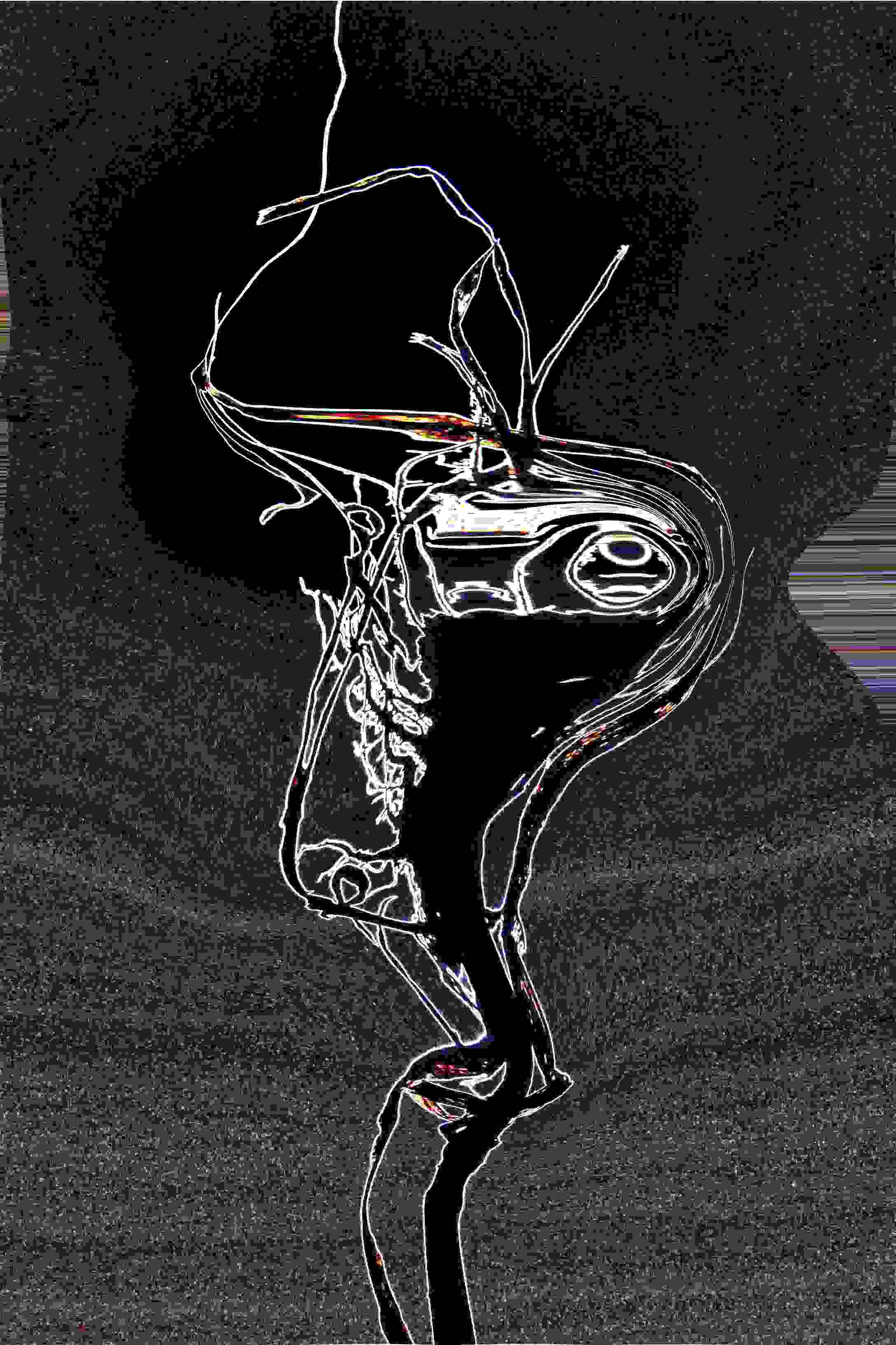 PD_11_File_001