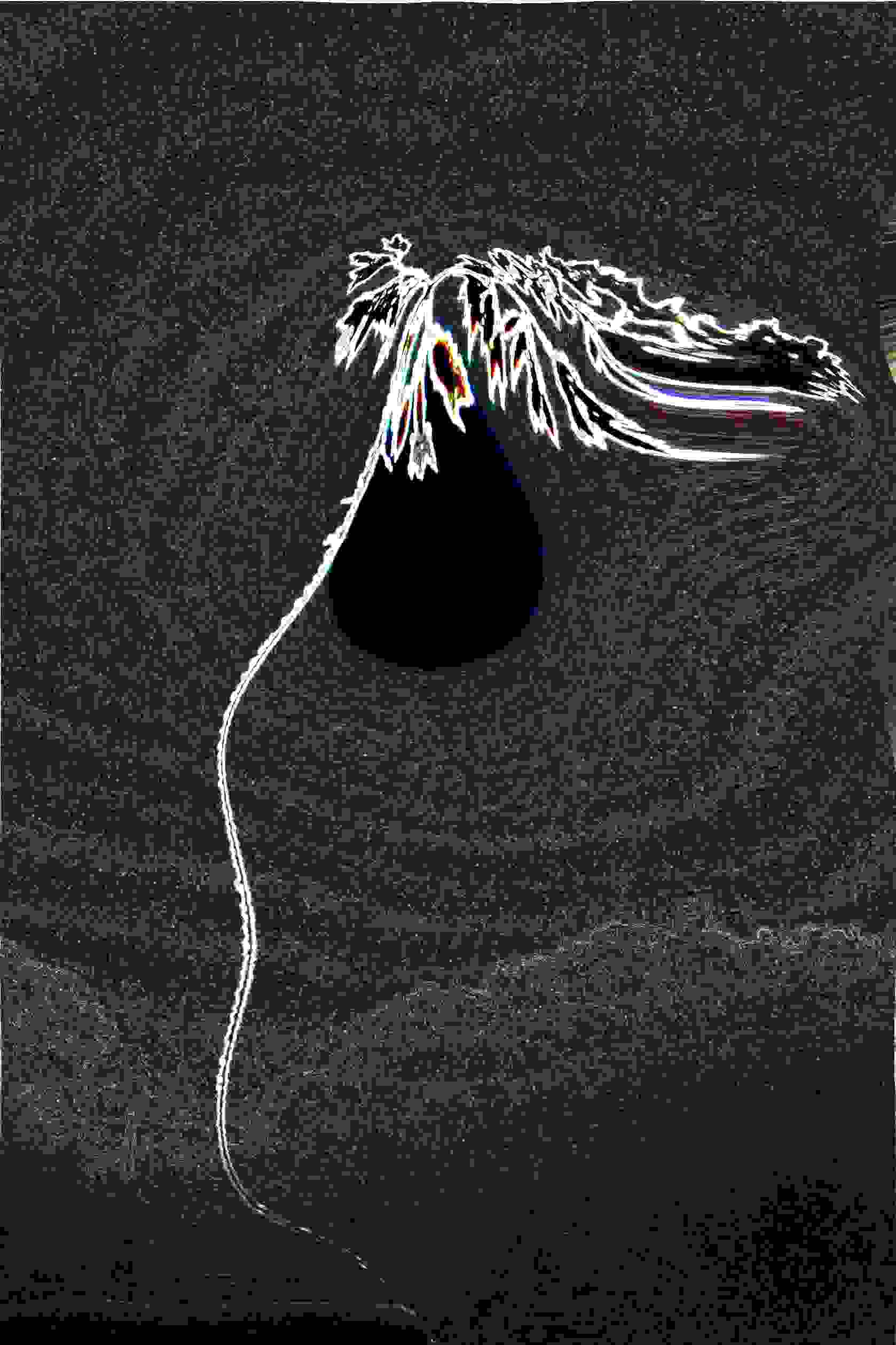 PD_11_File_002