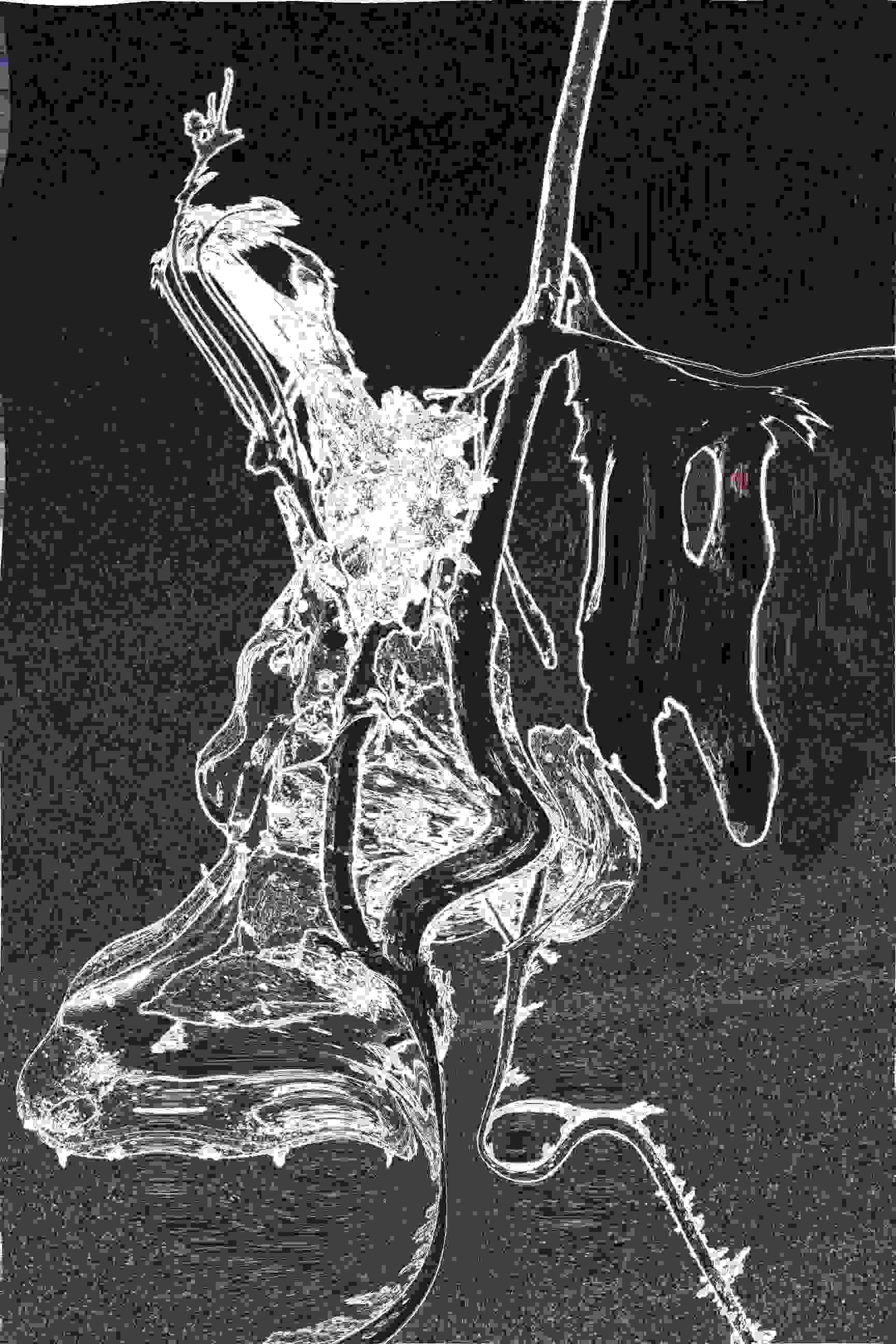 PD_12_File_002