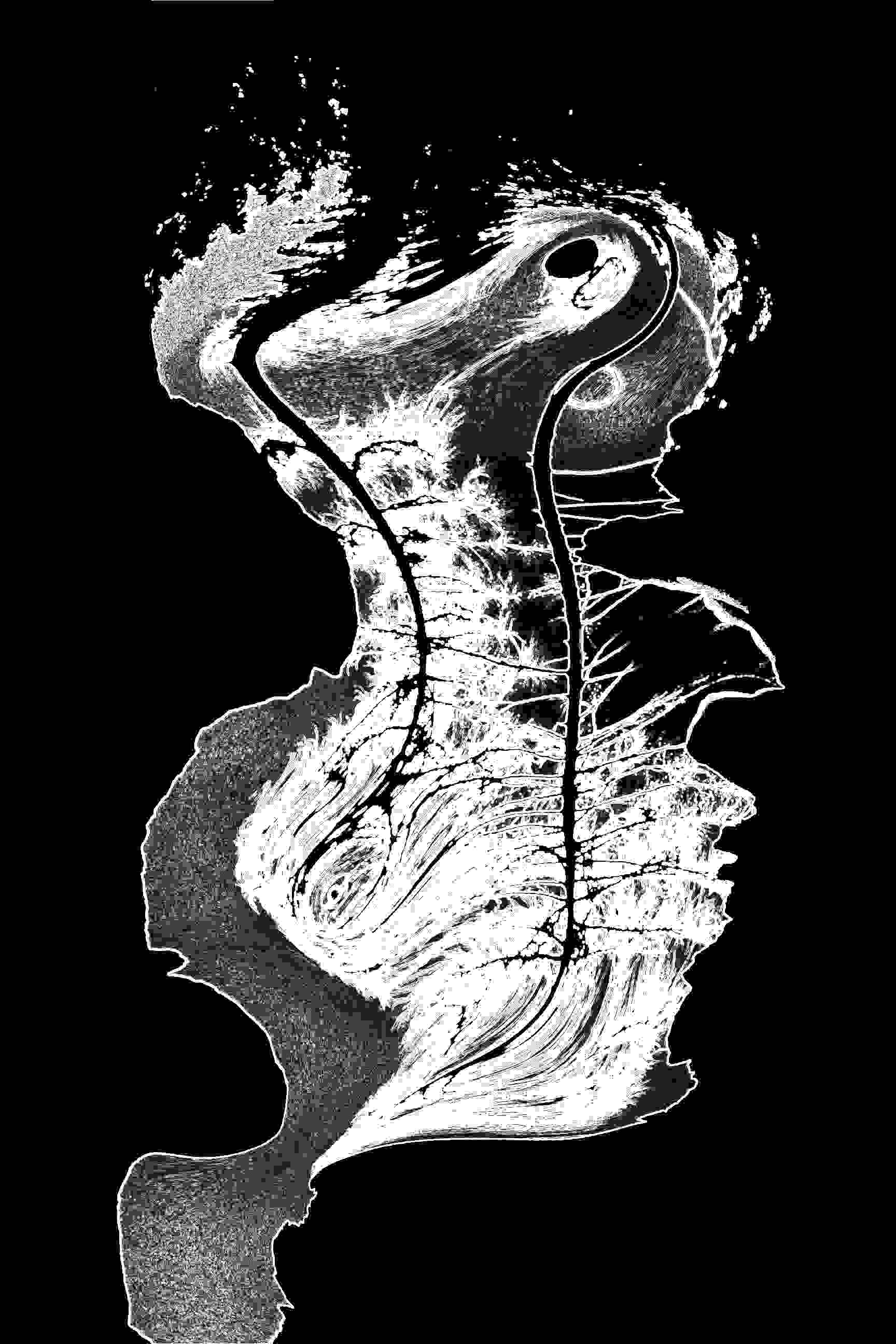 PD_15_File_001