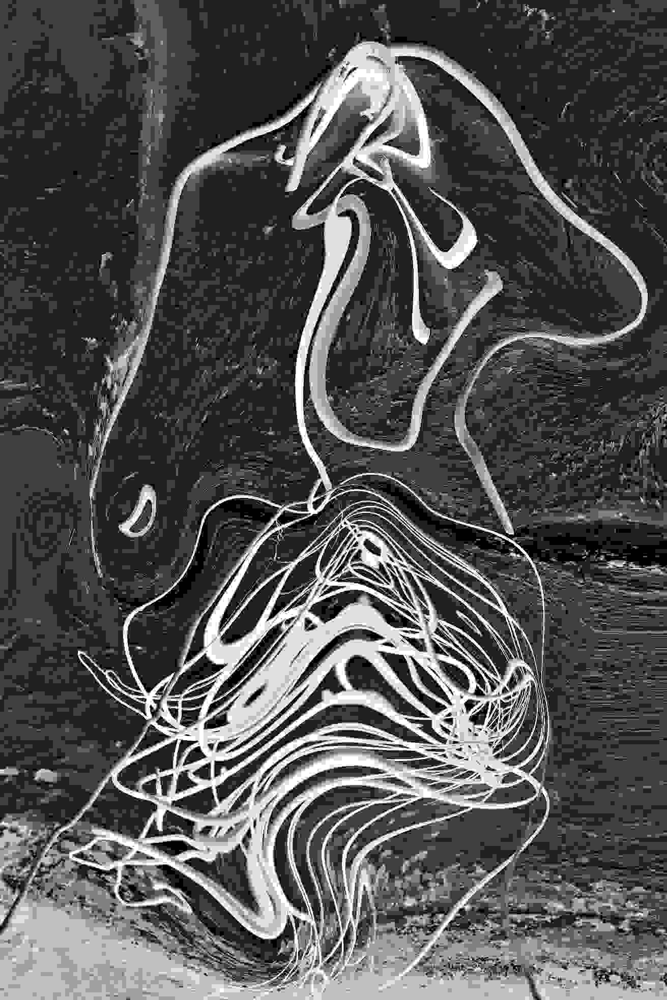 PD_22_File_003