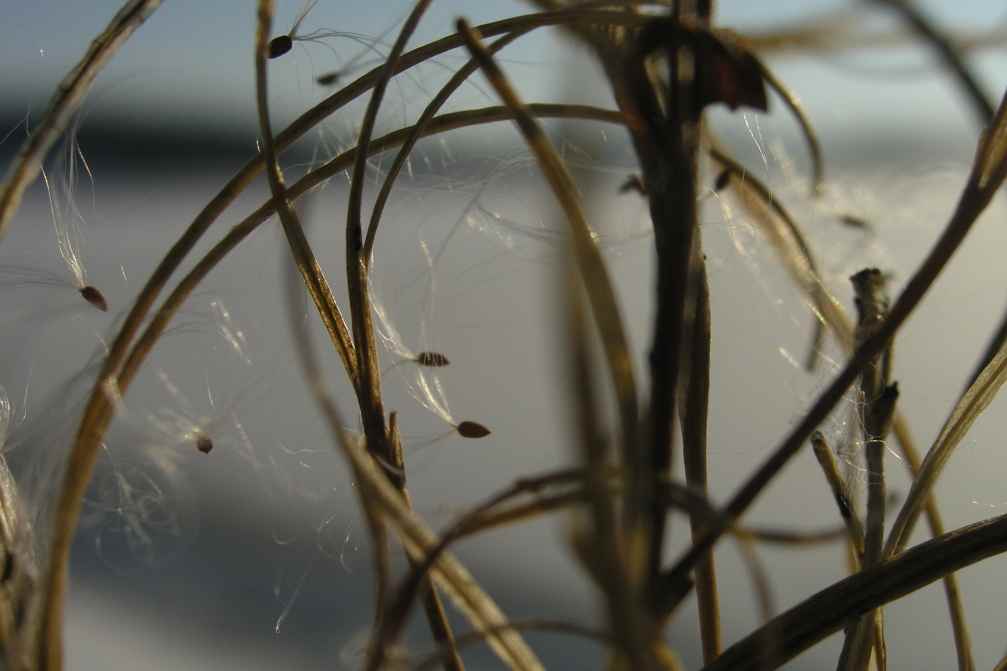 File_012