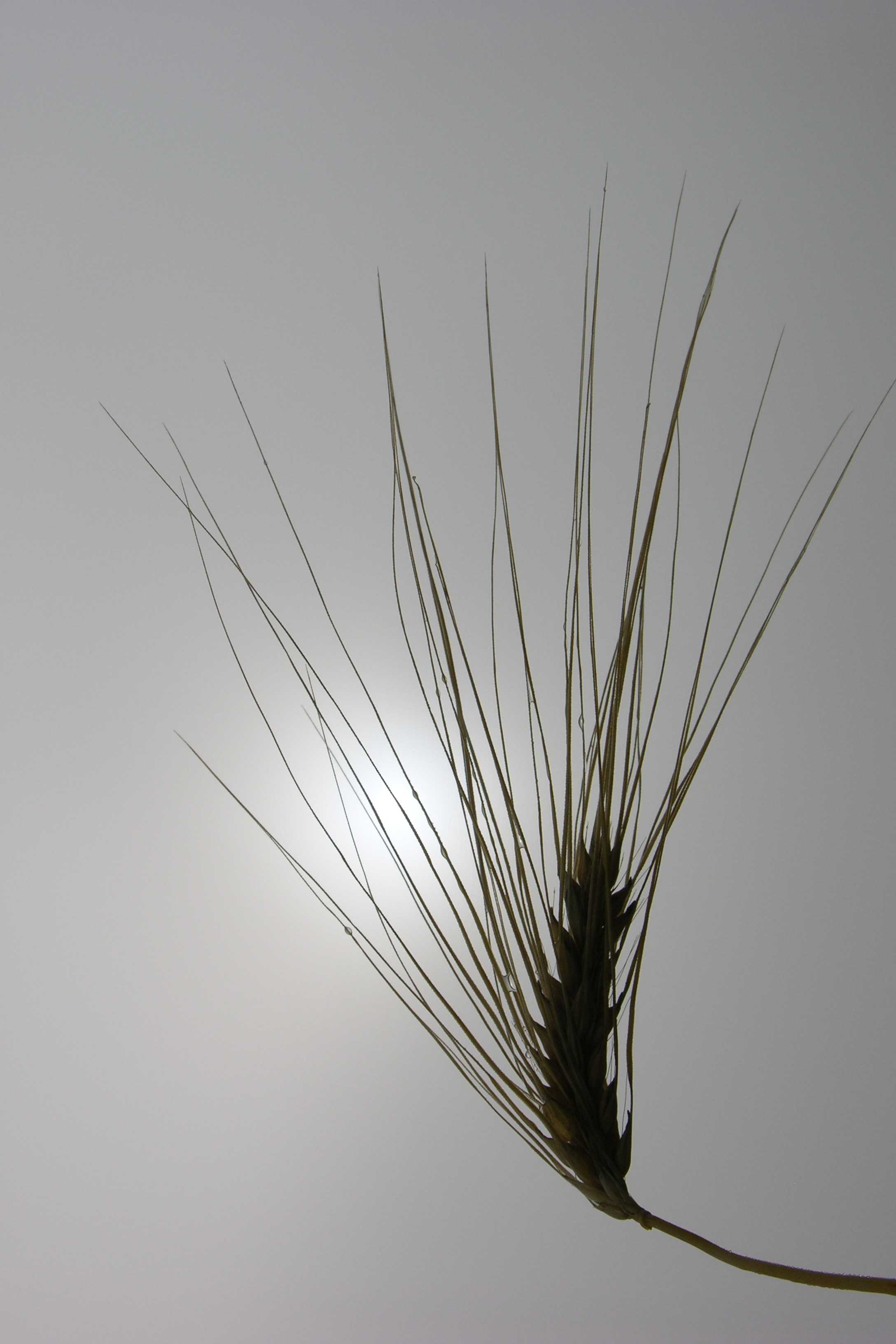 File_024