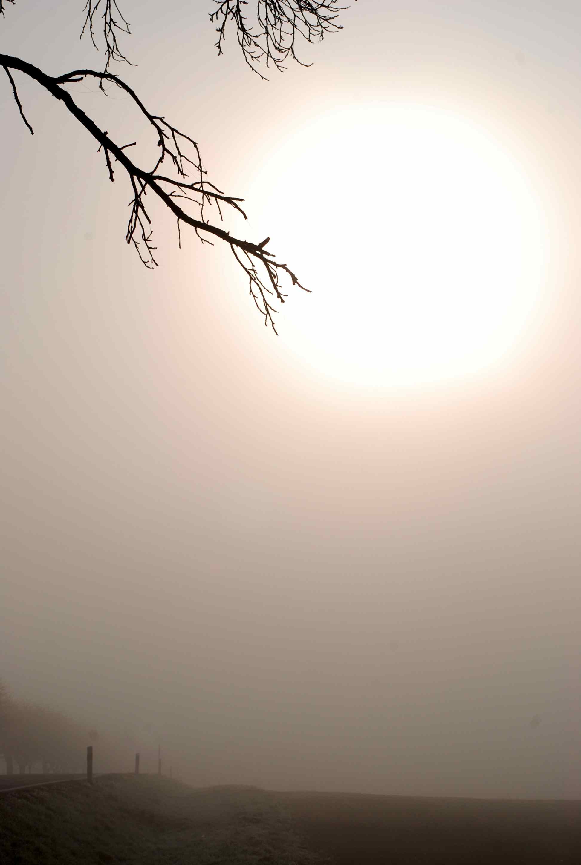 File_027