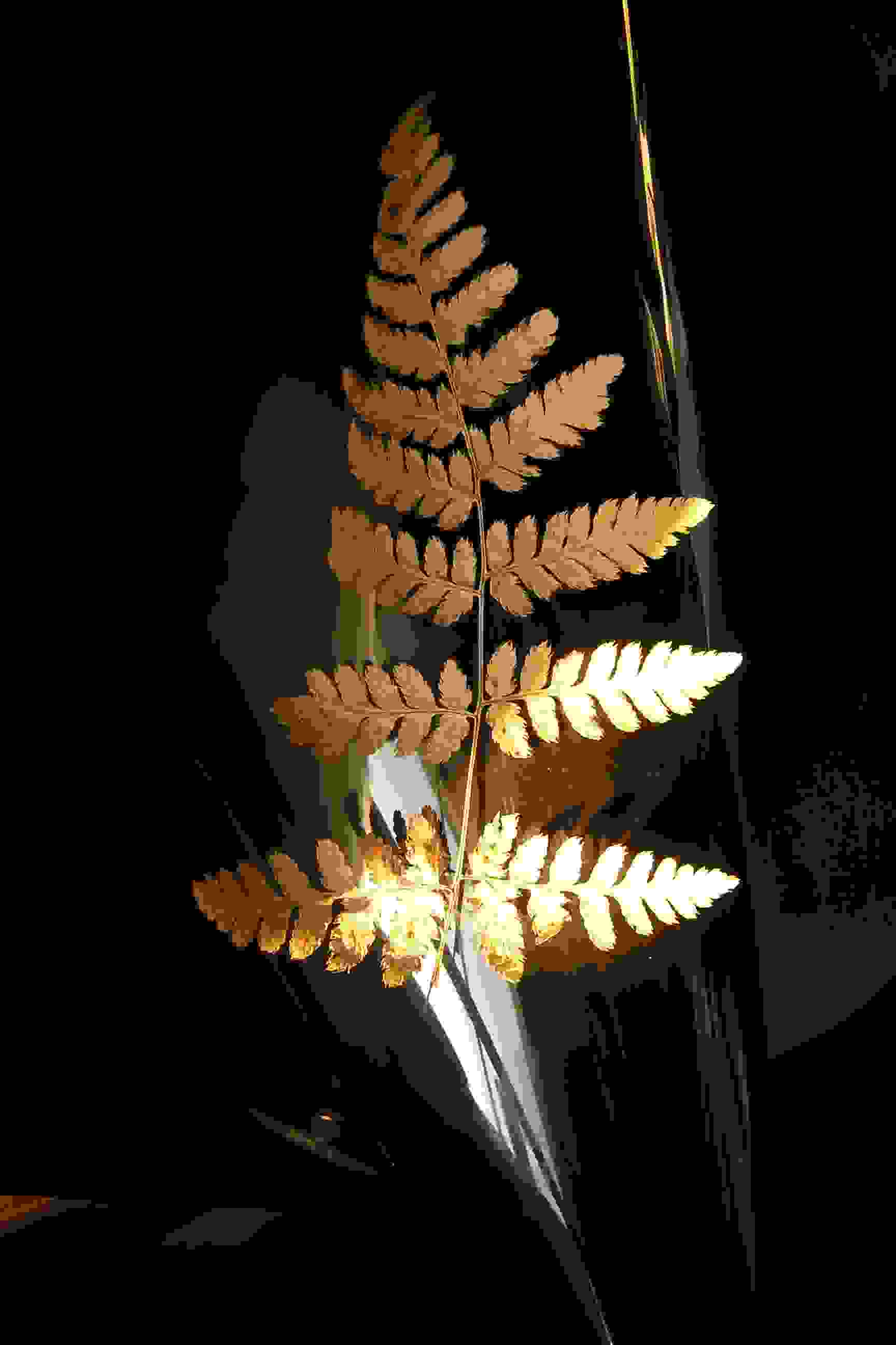 File_052