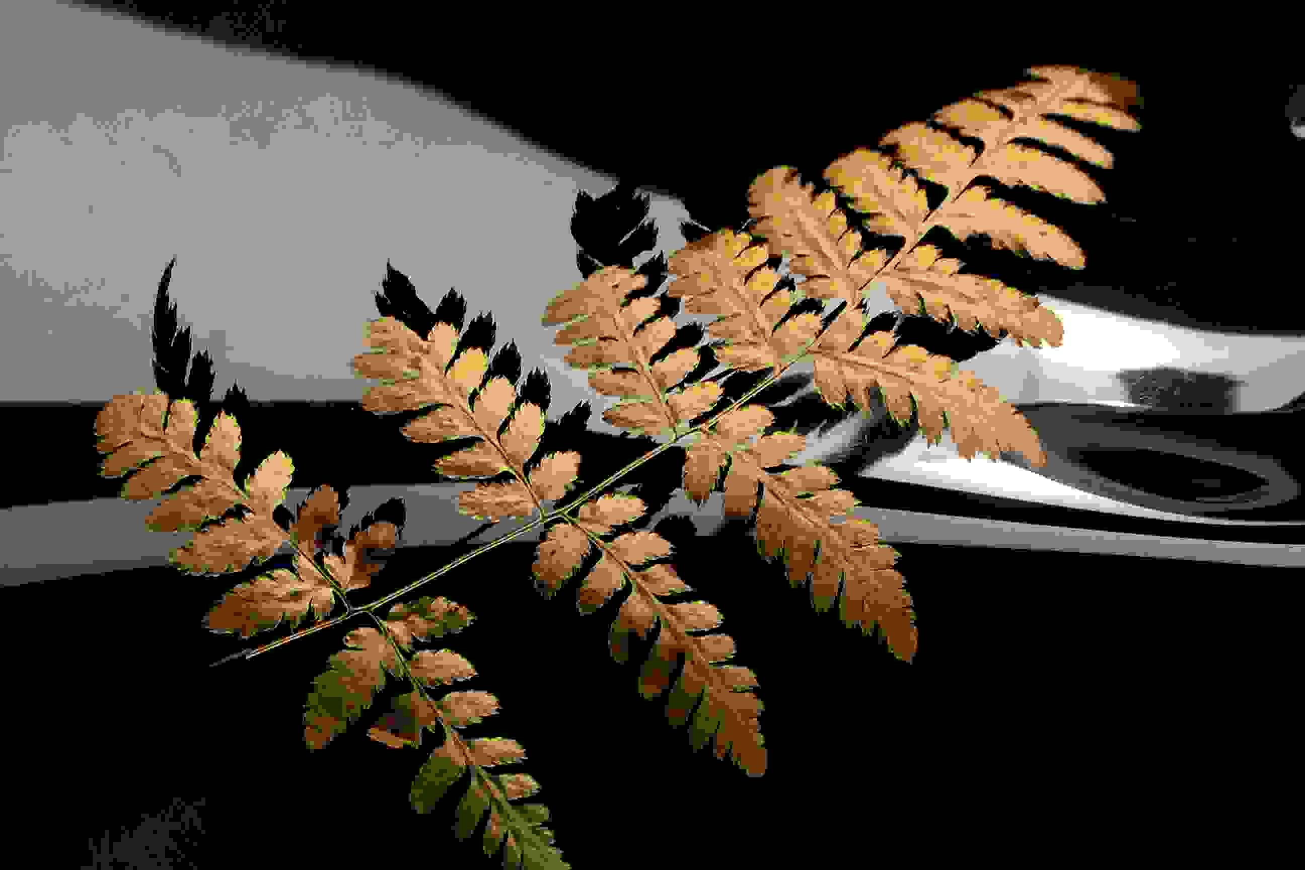 File_053