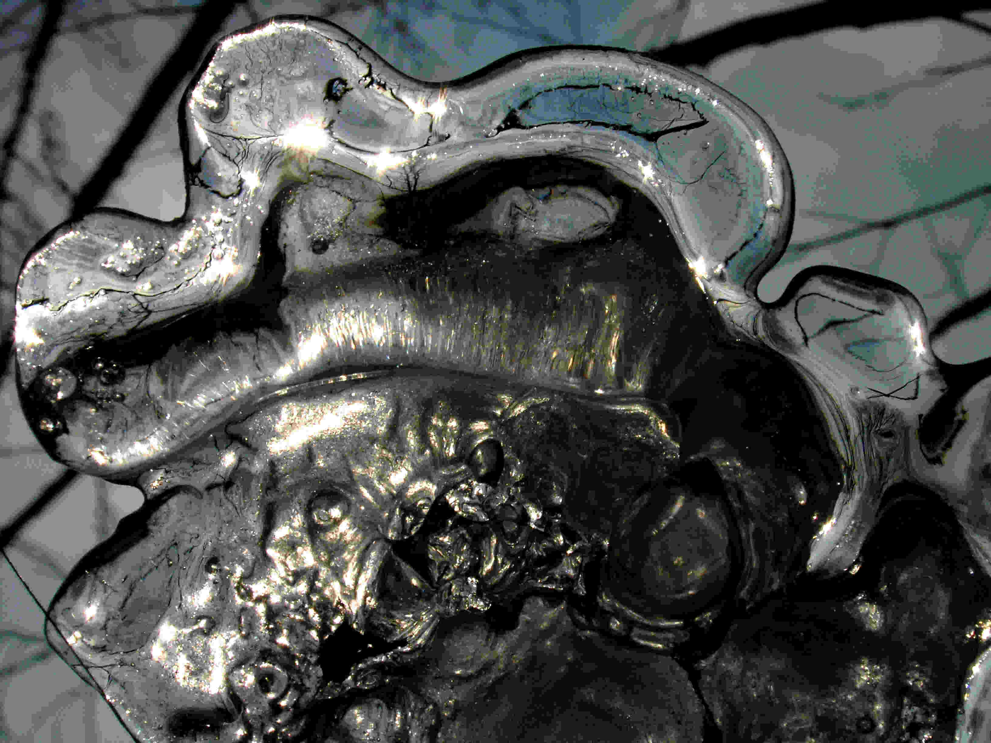 P2230003