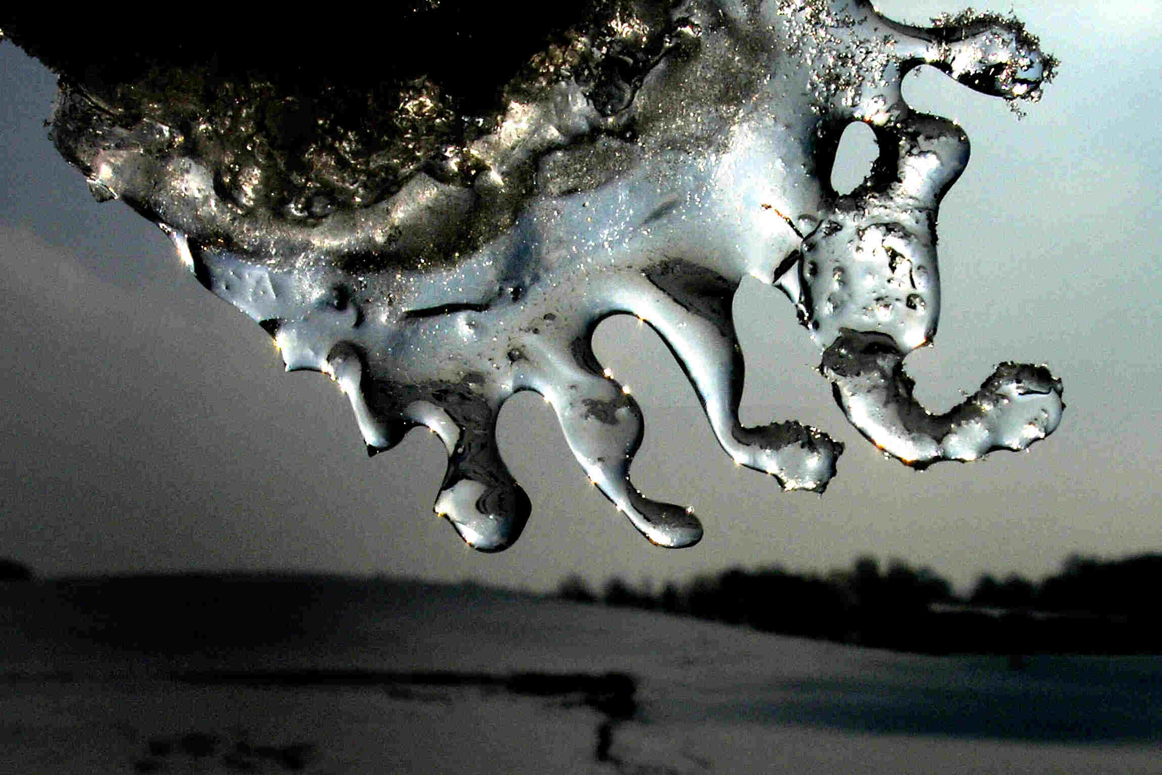 P2230006a