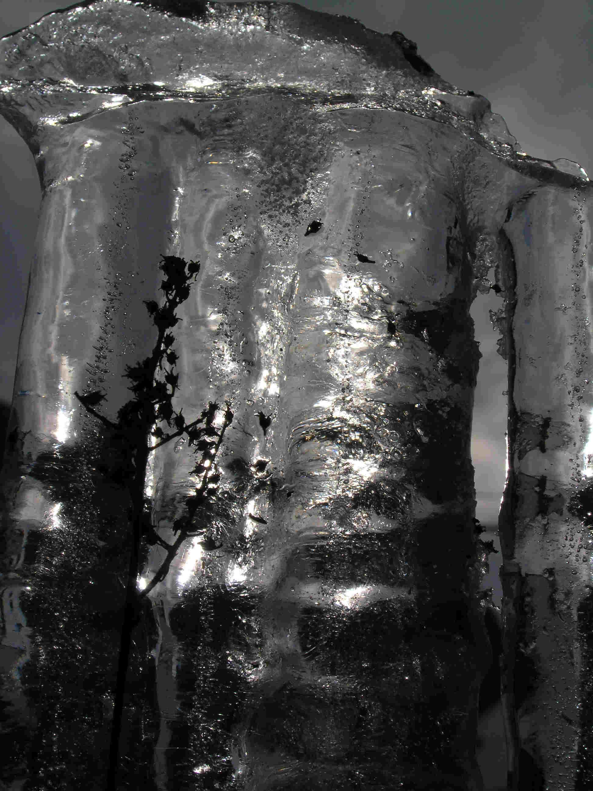 P3040101