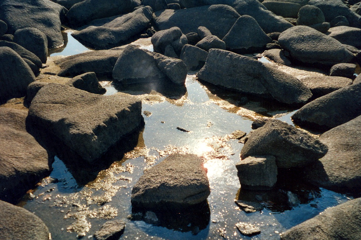 Scan0005